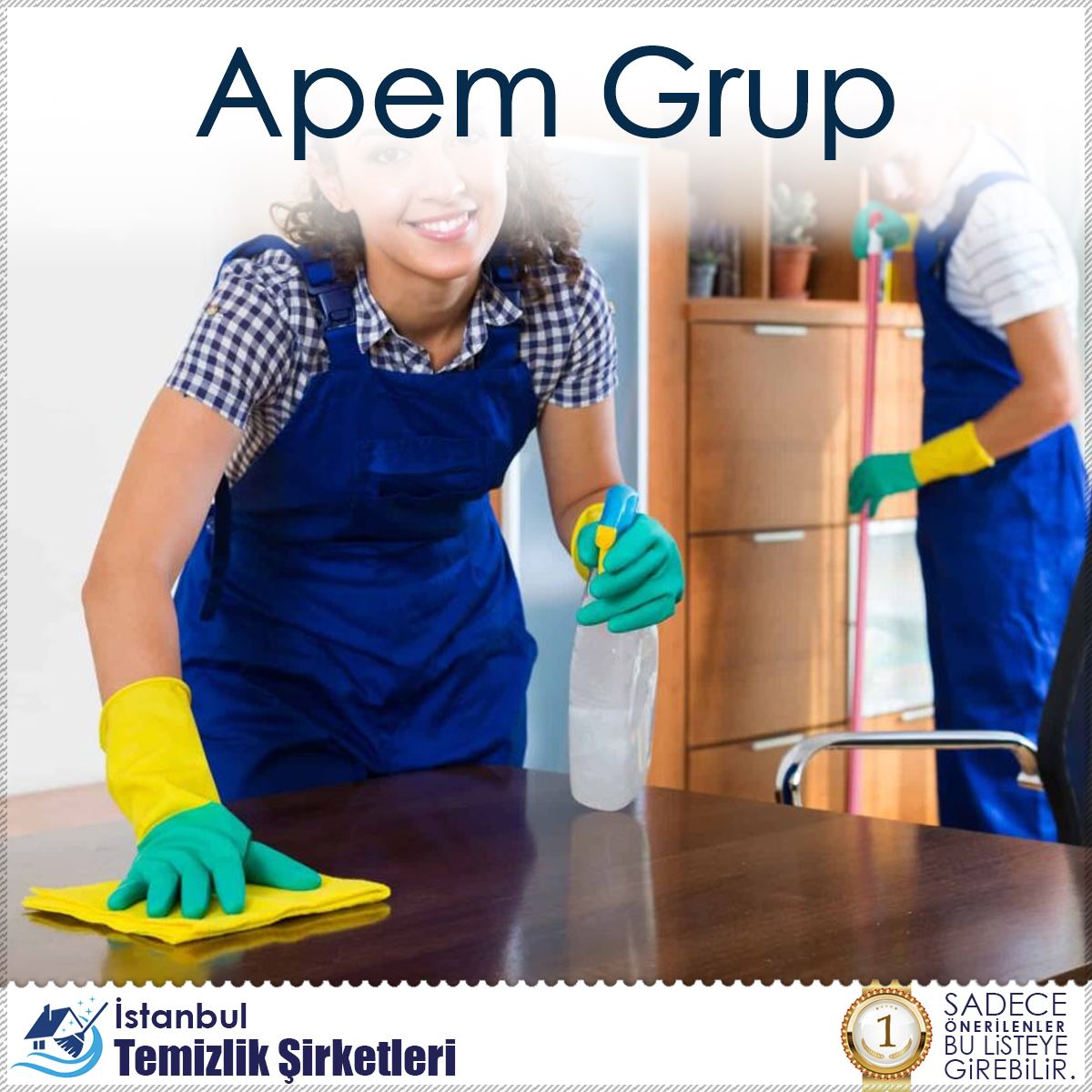 Apem Grup