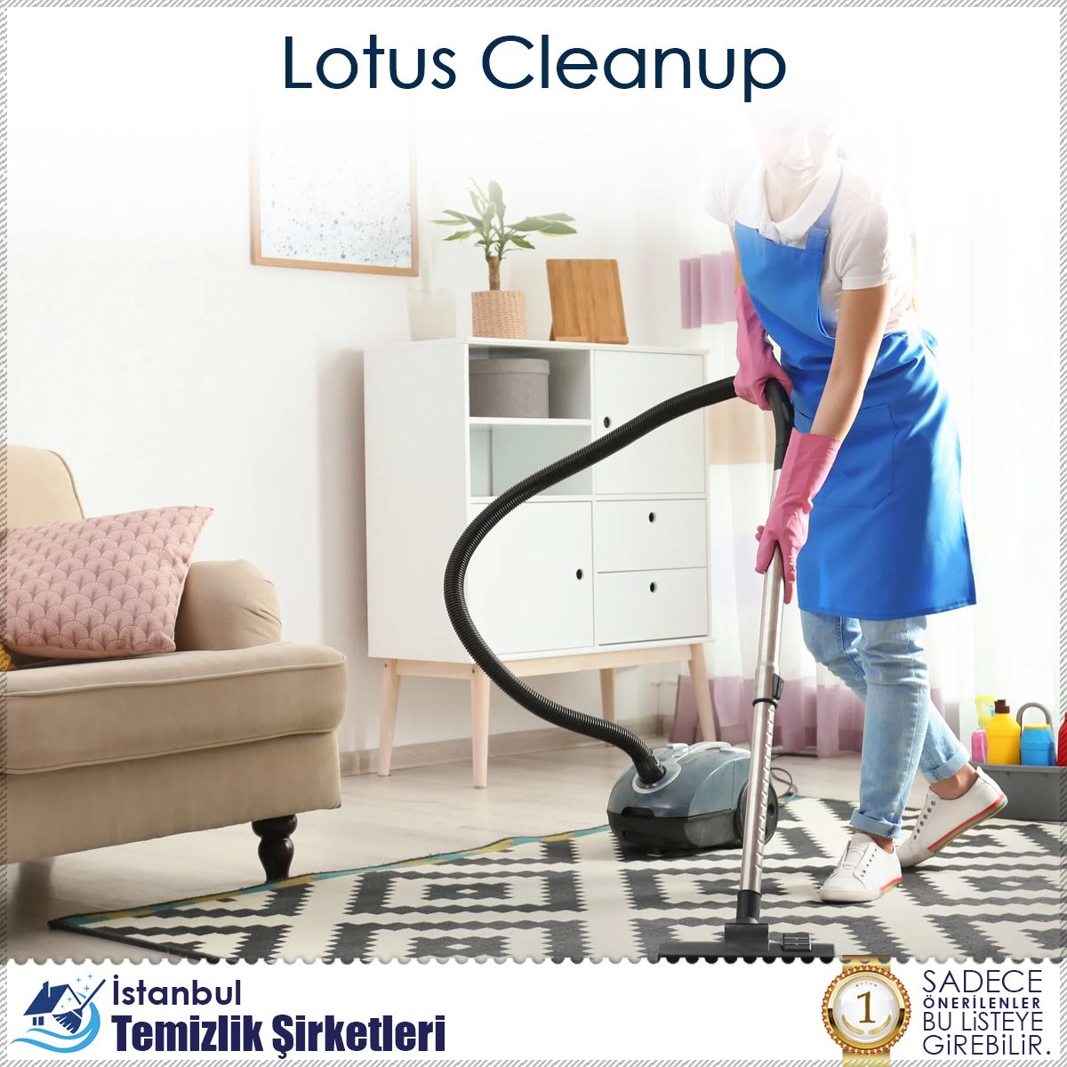 Lotus Cleanup